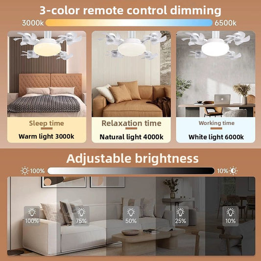Ceiling Fan Light with Variable Frequency Motor