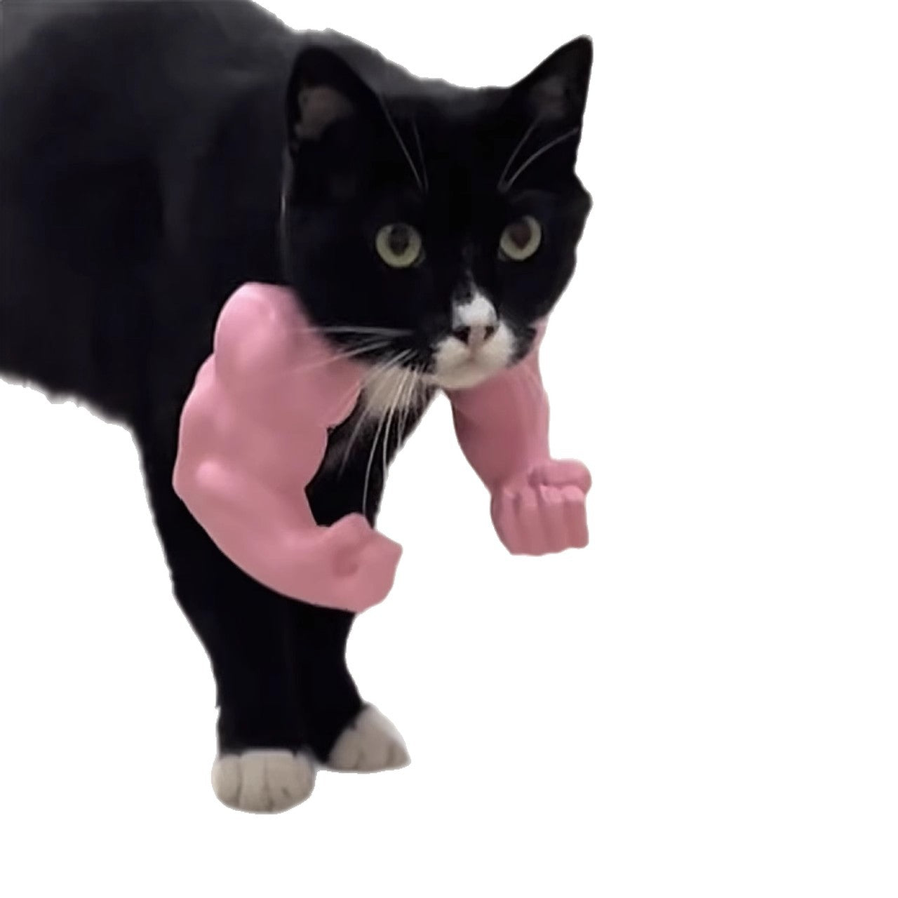 Funny Cat Muscle Arm Toy Decoration