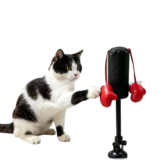 Interactive Cat Teaser Boxing Stand with Spring